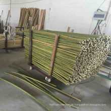 Hochwertige Stangen Bambusstangen Moso Bambusstangen Verkauf